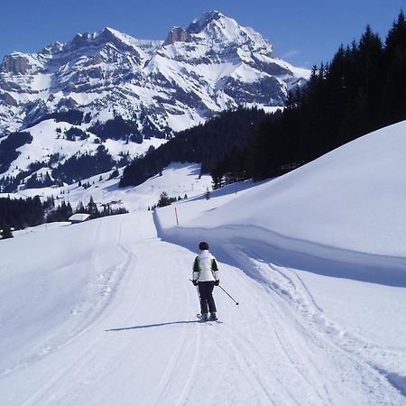 Hotel Des Alpes Adelboden Ngoại thất bức ảnh