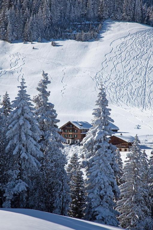 Hotel Des Alpes Adelboden Ngoại thất bức ảnh