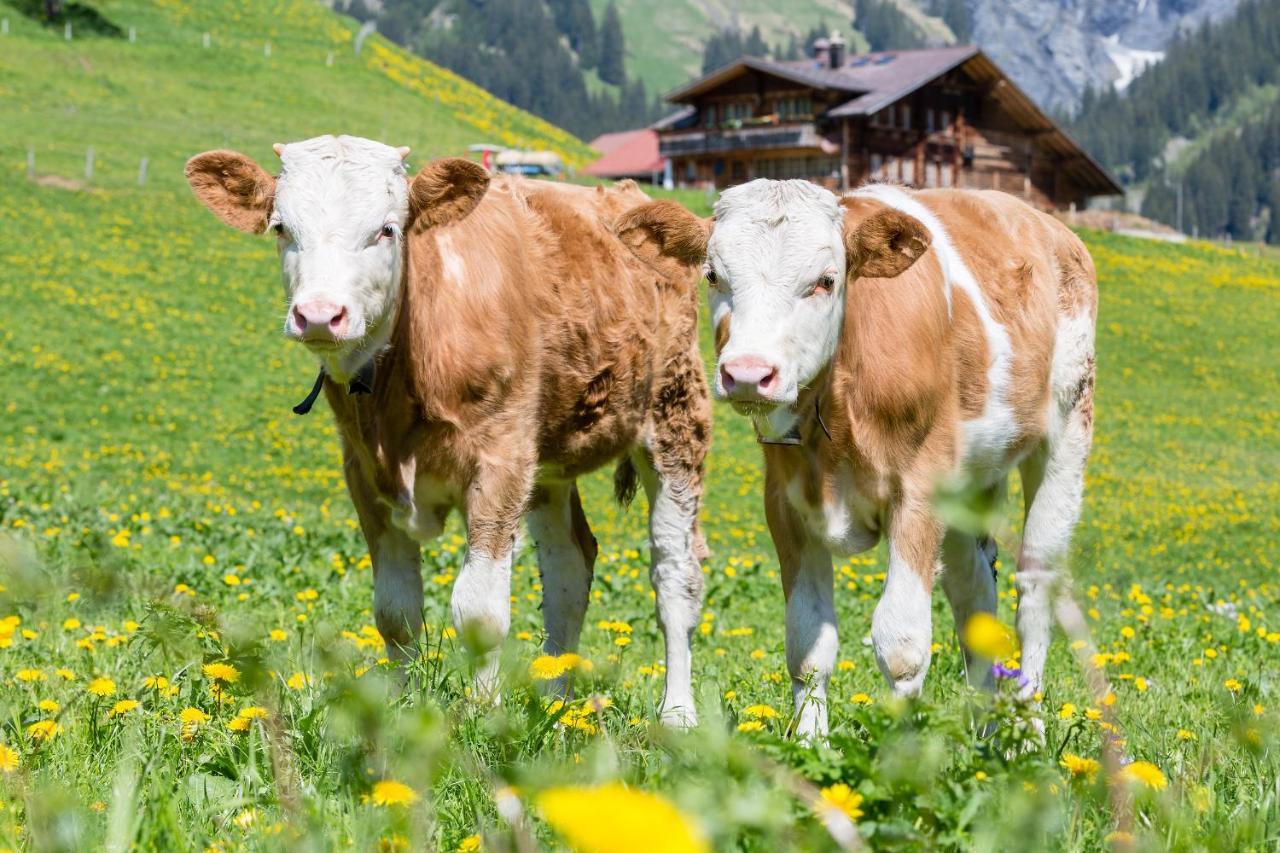Hotel Des Alpes Adelboden Ngoại thất bức ảnh